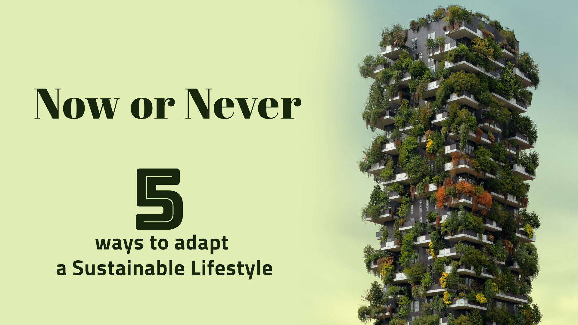 now-or-never-5-ways-to-adapt-a-sustainable-lifestyle